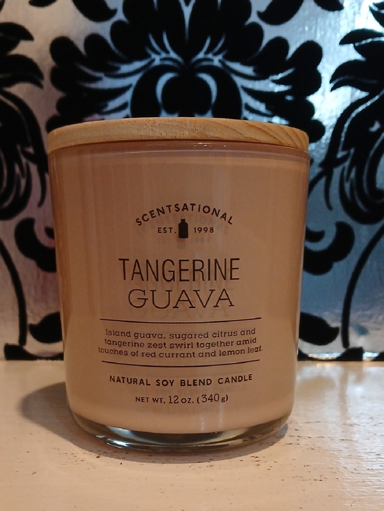 Other - Tangerine Guava Soy Candle
